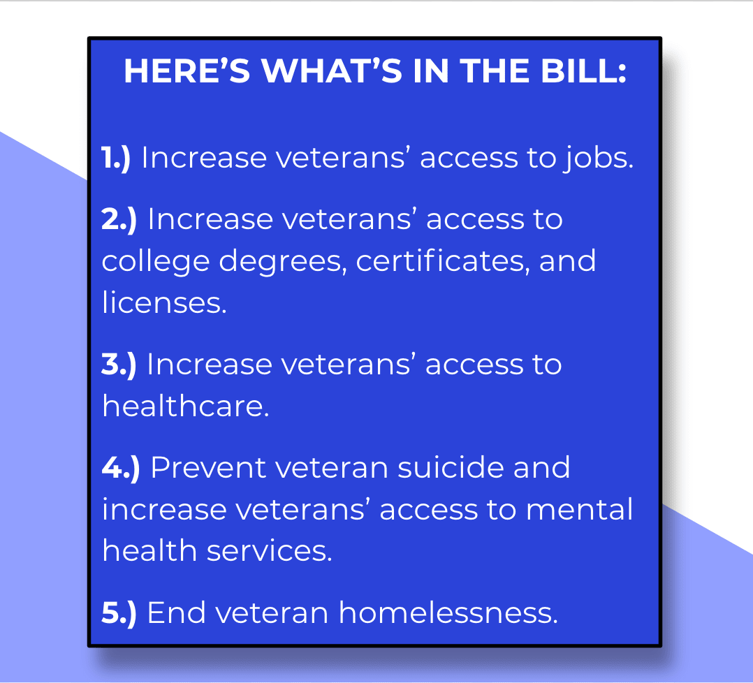 Veterans Bill of Rights Summary
